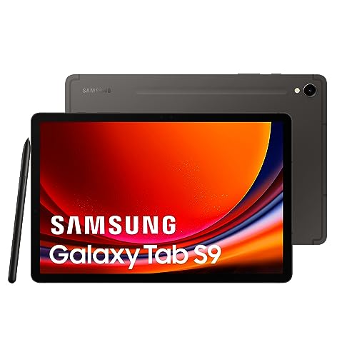 Samsung Galaxy Tab S9 Sm-X716B 5G 128 Gb 11" Qualcomm