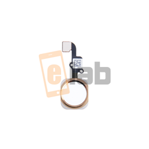 TASTO HOME IPHONE 6 - IPHONE 6 PLUS ORO