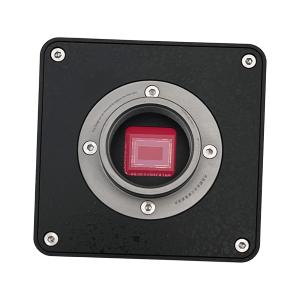 TELECAMERA MICROSCOPICA INDUSTRIALE 4K QIANLI AI GORILLA PER MICROSCOPIO TRINOCULARE