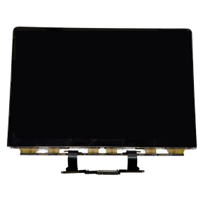 DISPLAY - PANNELLO LCD MACBOOK AIR RETINA 13&amp;quot; A2179 (NO SCOCCA)